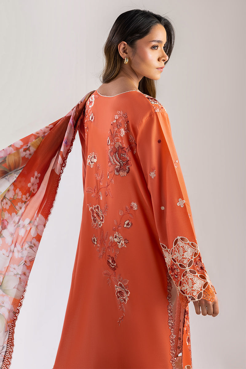 Starry SIde | Manaram '25 By Mushq