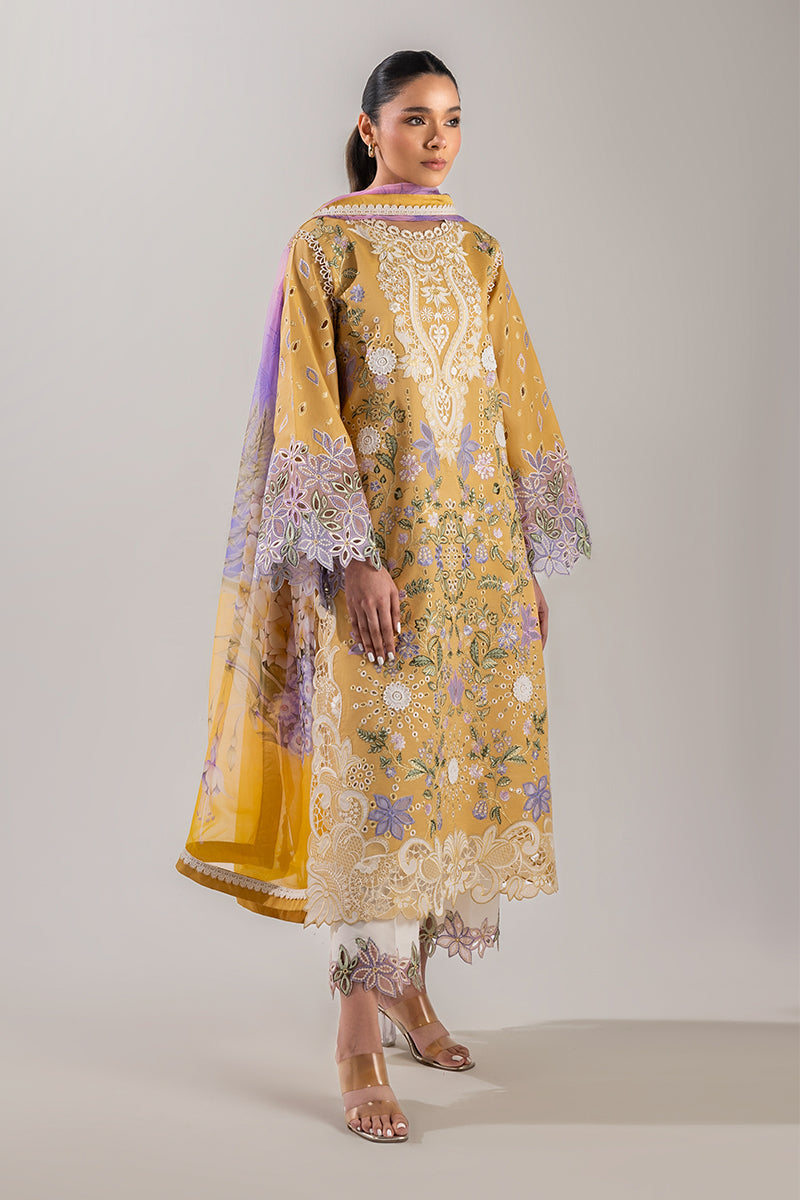 Gold Glow | Manaram '25 By Mushq
