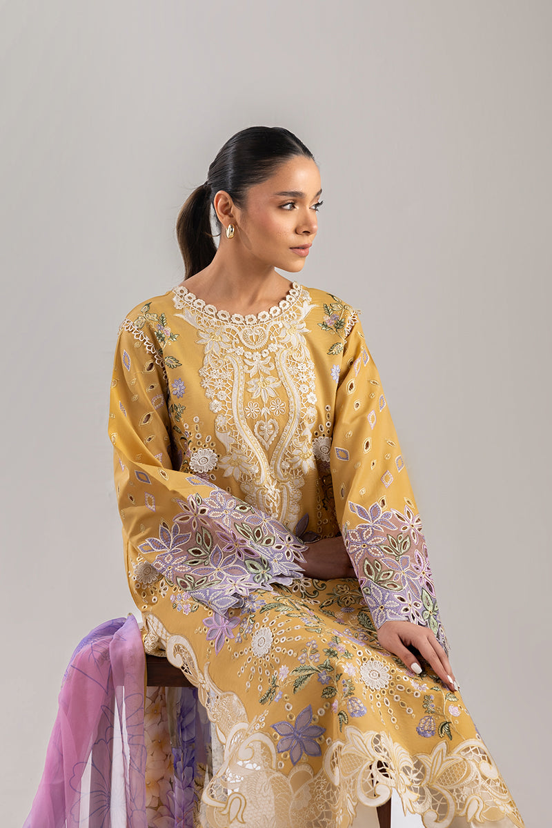 Gold Glow | Manaram '25 By Mushq