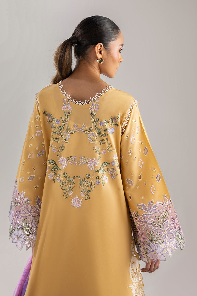 Gold Glow | Manaram '25 By Mushq