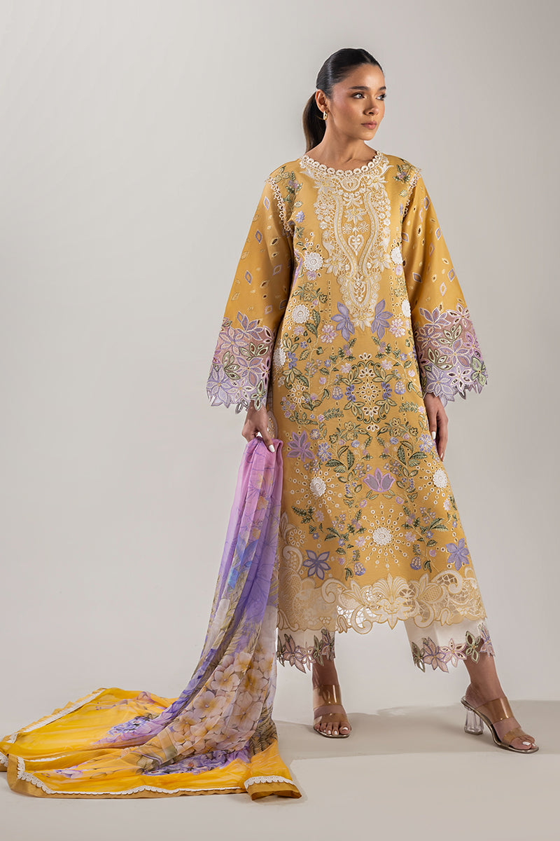 Gold Glow | Manaram '25 By Mushq