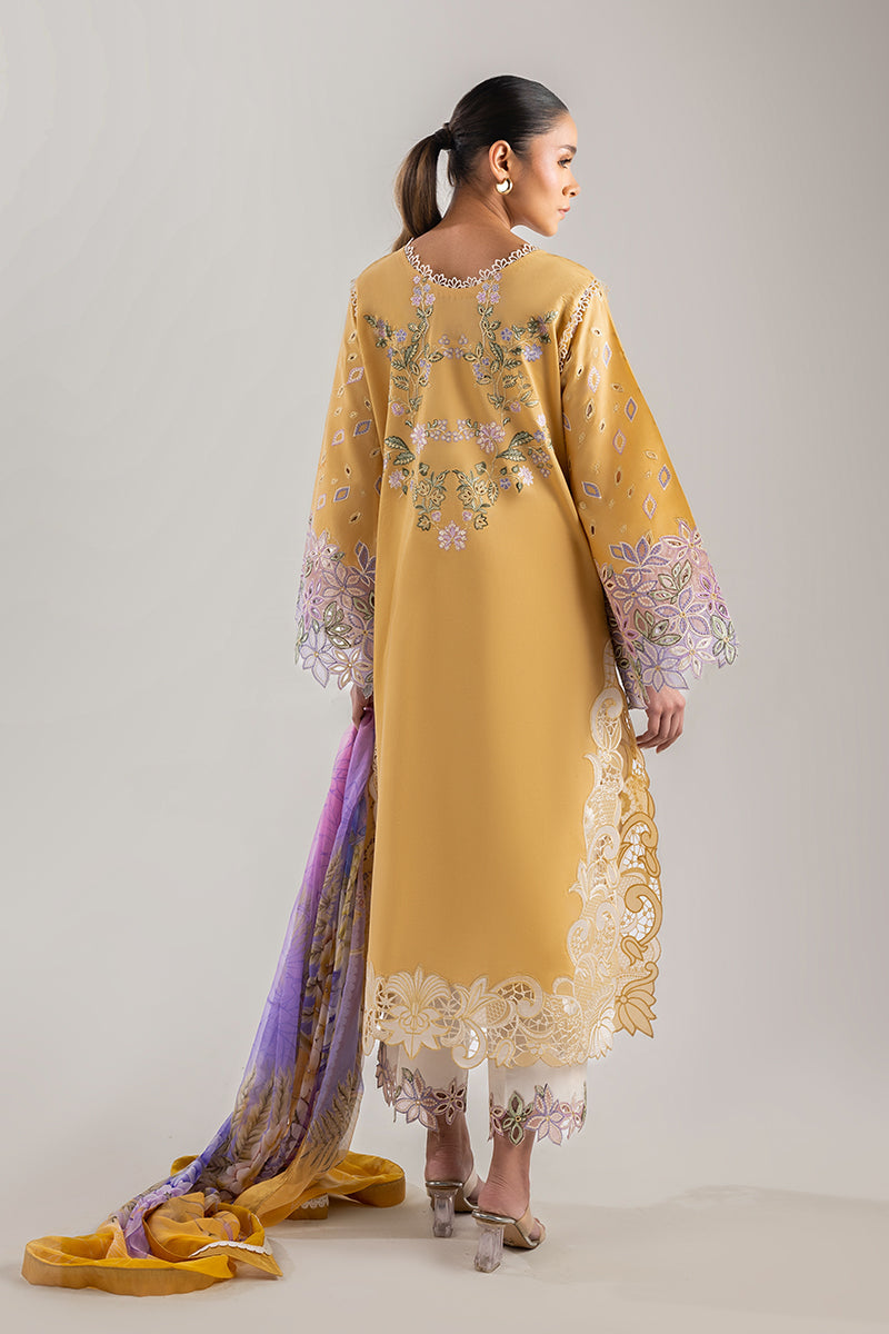Gold Glow | Manaram '25 By Mushq